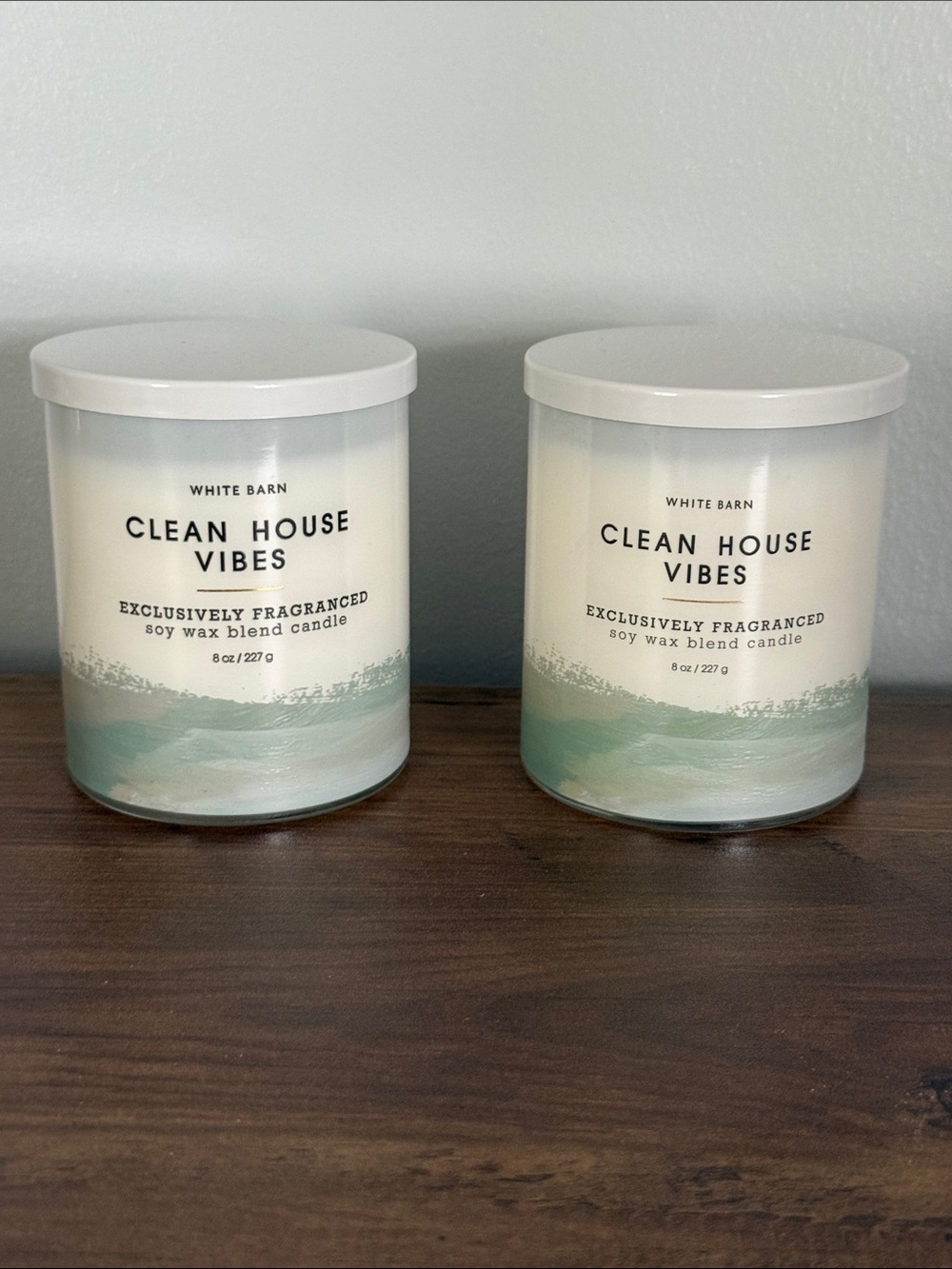 Bath & Body Works Clean House Vibes Single Wick Candles 2-Pack NEW